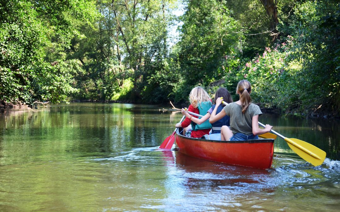 Die Kanusaison auf der Donau beginnt! Ab Juli können wieder Kanus ausgeliehen werden